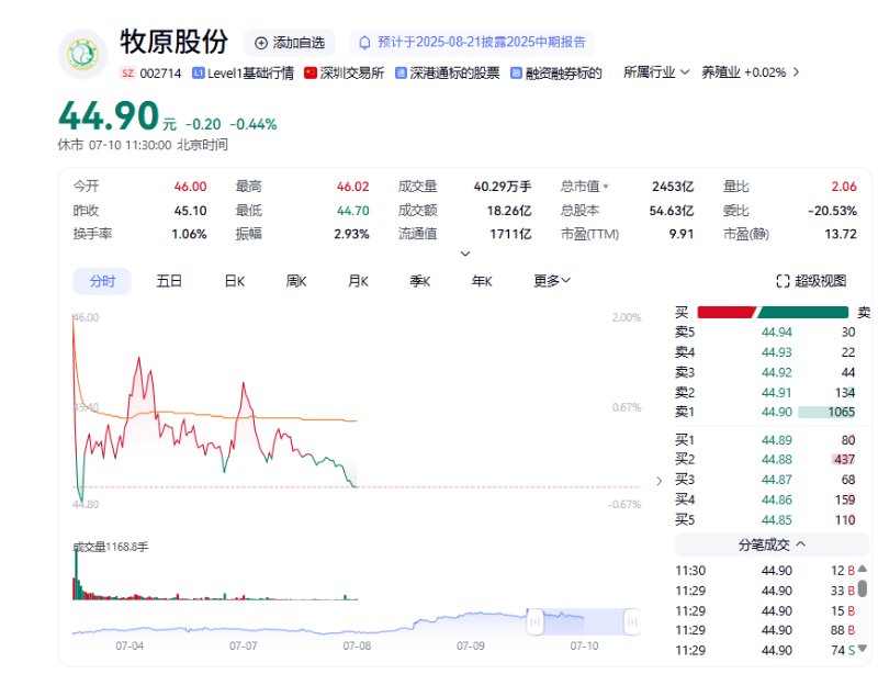 股份